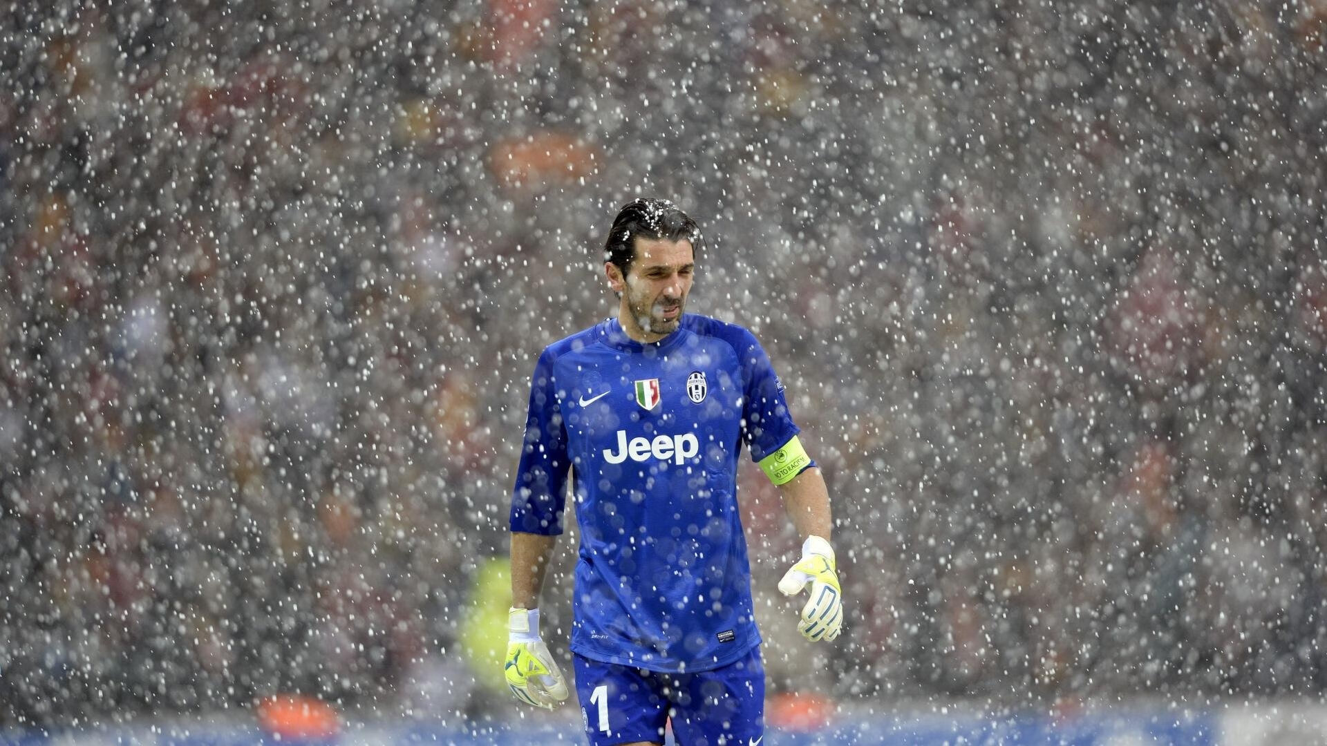 亚洲游泳冠军赛孙杨携队友力夺接力金，中国游泳冠军孙扬