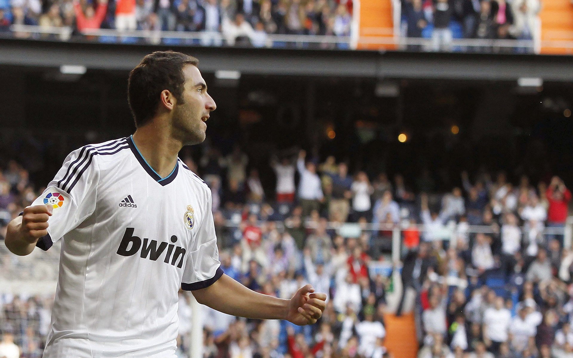 “南非羚羊队备战世界杯,霍斯特的表现备受期待”